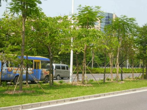 河南造價咨詢-綠化工程監理-橋梁工程監理