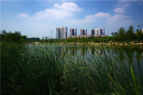 河南工程監理公司 河南工程監理公司