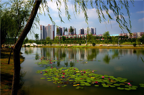 河南工程監(jiān)理 河南工程監(jiān)理