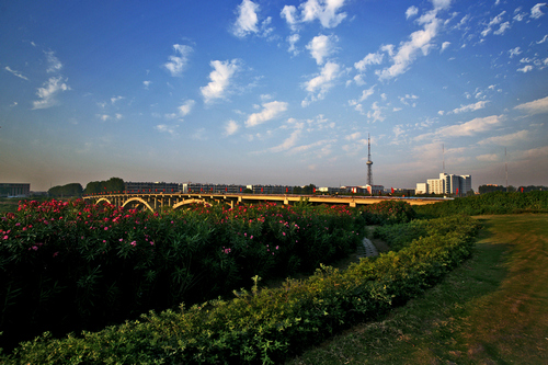 河南工程監(jiān)理 河南工程監(jiān)理